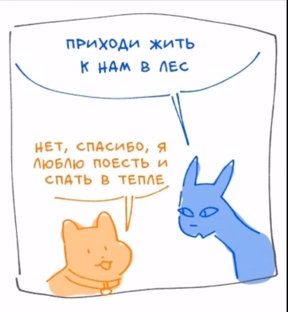 f81d40d4d932fafa9c867cbc1a17a5e8.avif