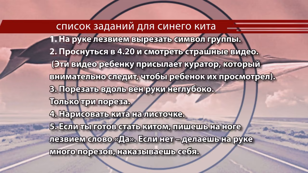 f821811c8acd2c80bff15c565c7e8fbd.jpg