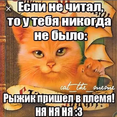 f84339efea0af22c4a1101ce79a40076.avif