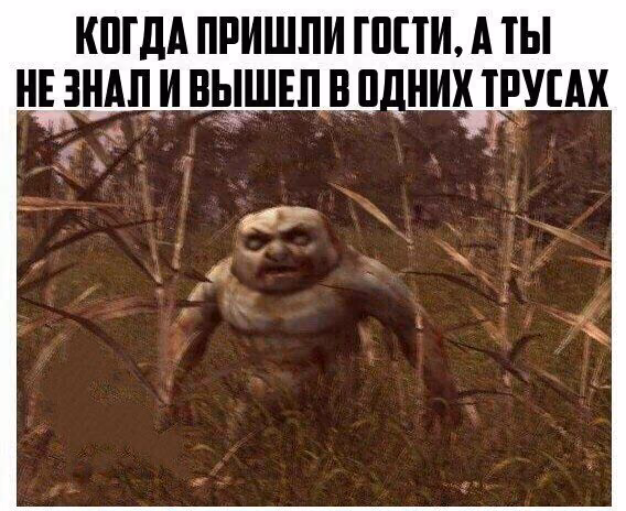 f84bd5b019514c4fe5d1942b76d00799.avif