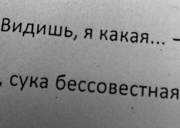 f855adc36288e106ada97316c784f04a.jpg