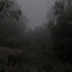 f857a0503fd3892d7a8d8a1e9f4cf33e.jpg