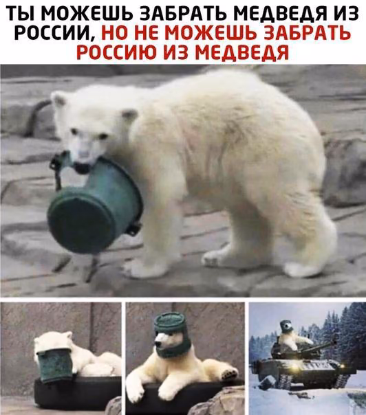 f85b3fdbd020646703e1b8b277d500c6.avif