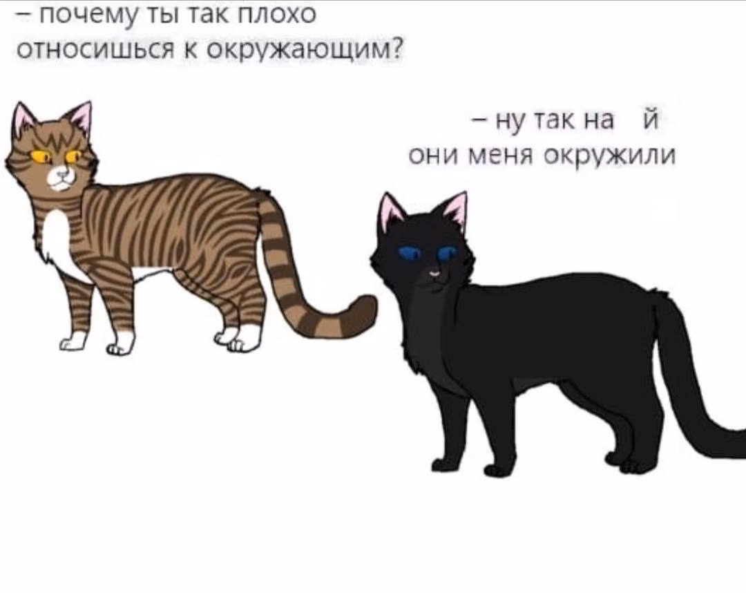 f878ca8e94a32908217ce11dcb47983f.avif