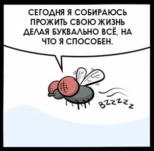 f87dd3f40f993c6b0d81d985cc166476.jpg
