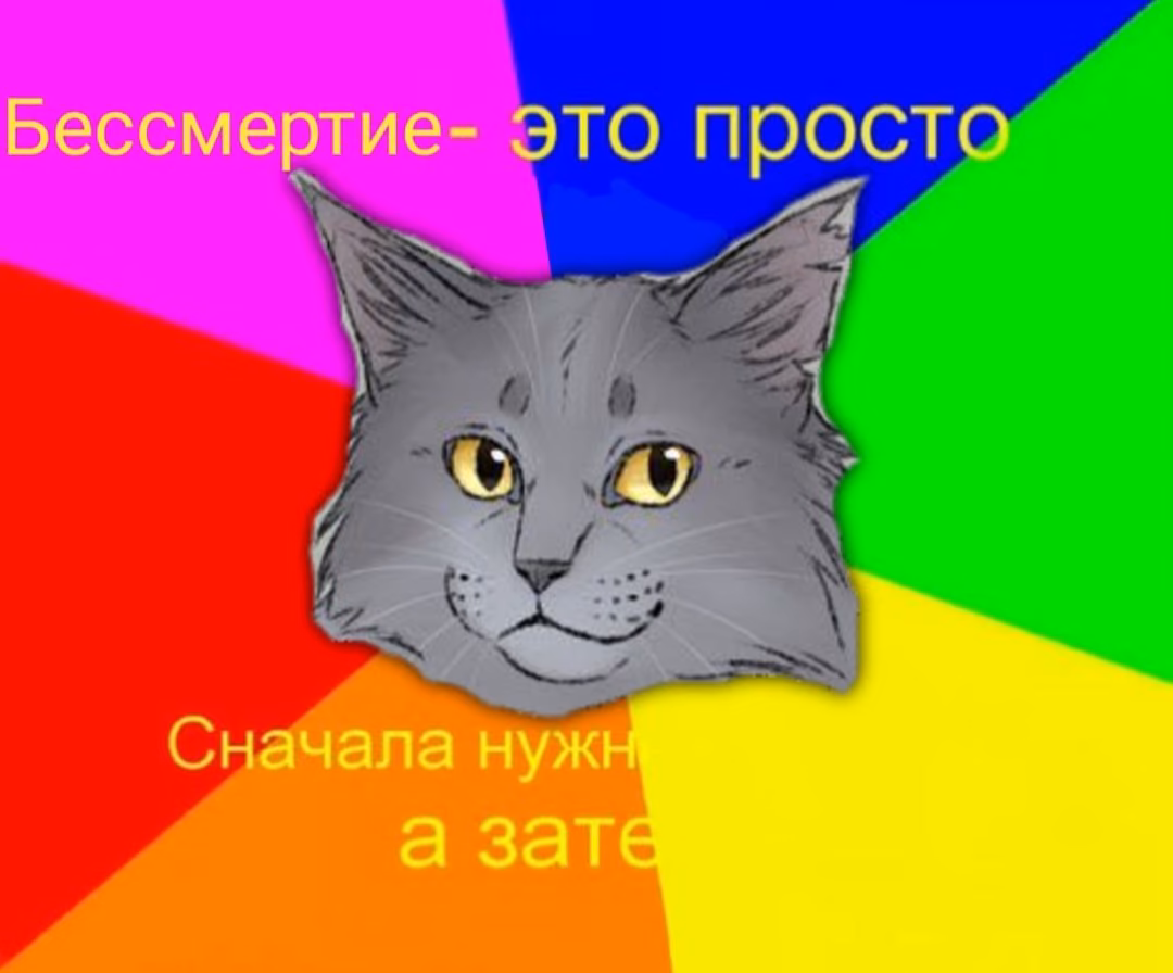 f8a6e402f022f42c303d7abd066a0548.avif