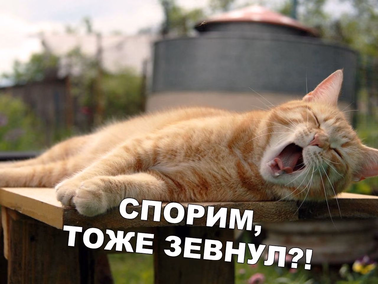 f8b402c1e35cd0b48bb00499eb3cd298.jpg