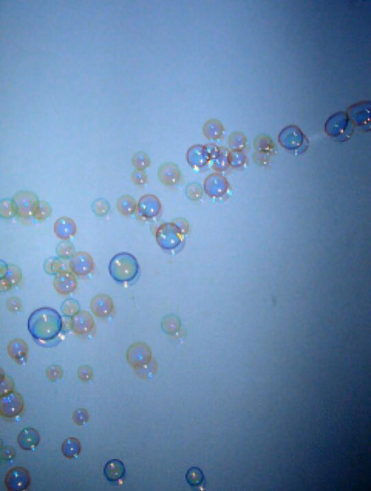 f8b8555d3d5e076c602ea410d6333f0e.jpg