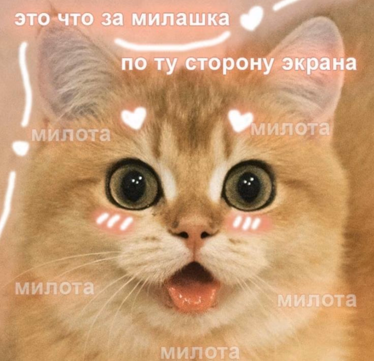 f8be7a63bb6891bf676ad2a9e824efc5.avif