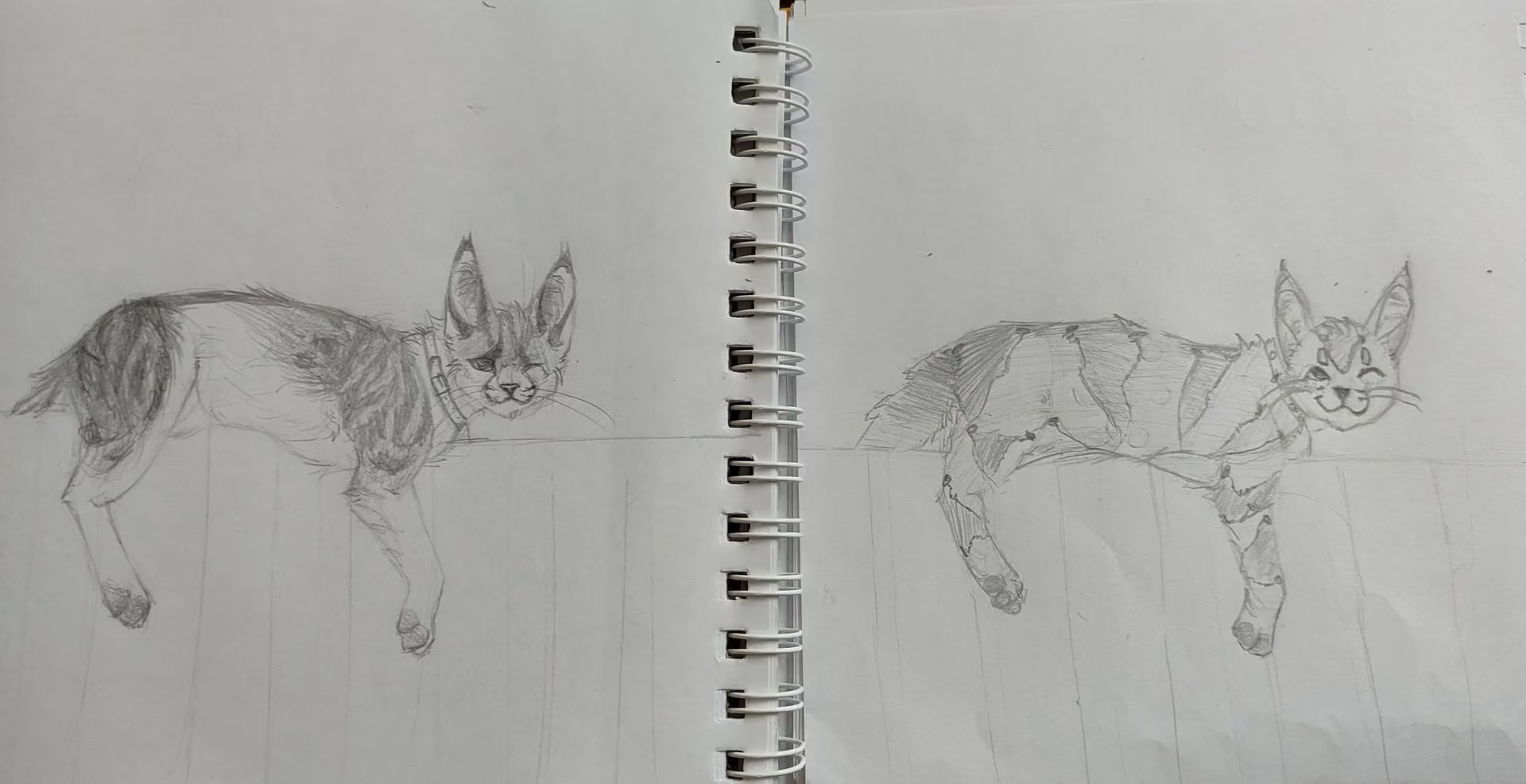 f8c333fcad4d89ab9dee7feb4cc3251b.jpg
