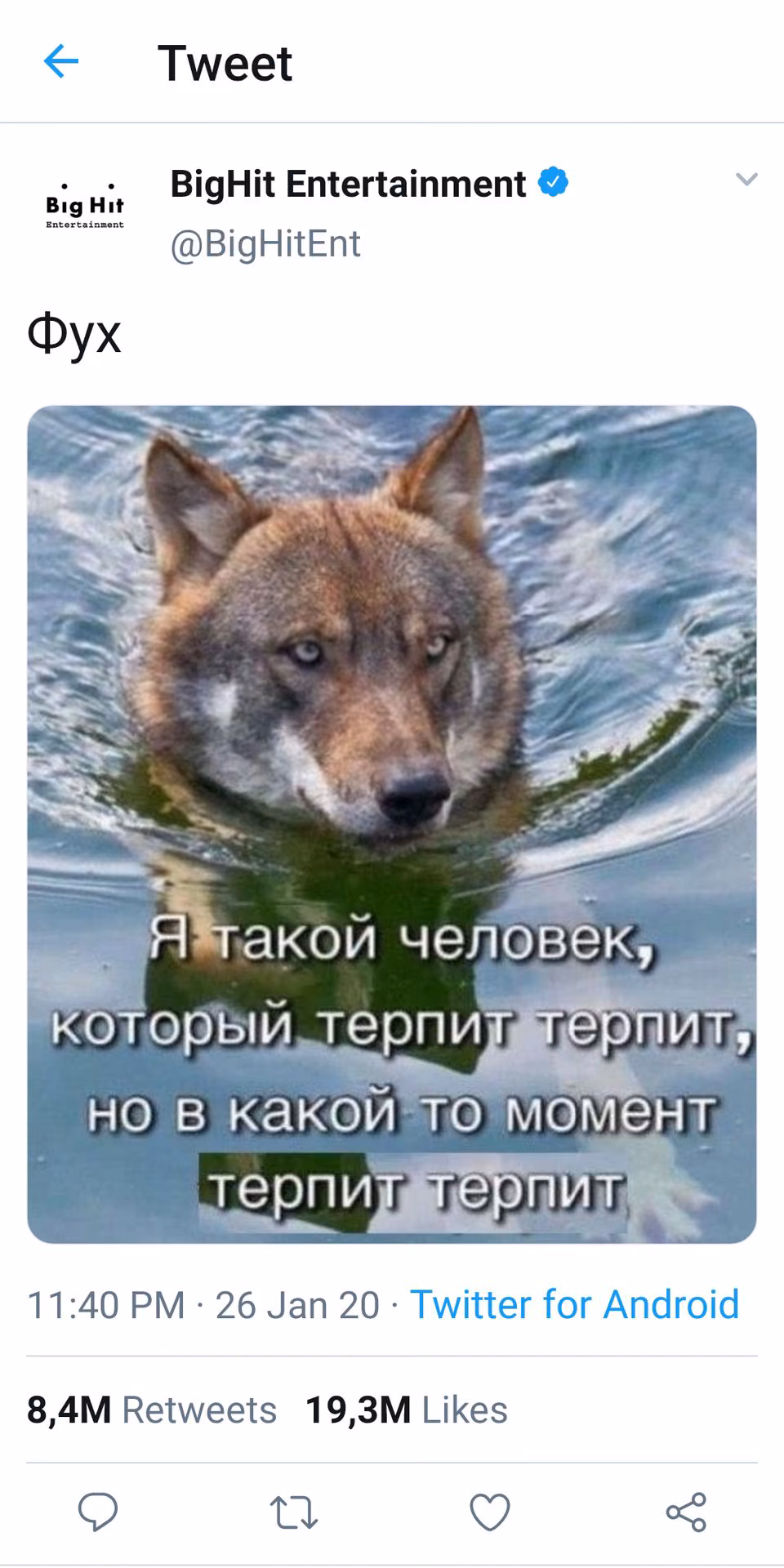 f8c6f7c7538faf4e56a3df7a8e42b51b.jpg