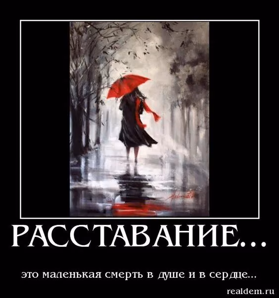 f8d37cdf42e3a1d1381538639f931b12.avif