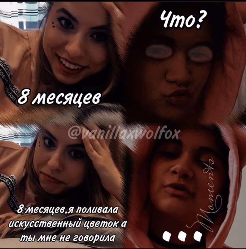 f8de1c248e8c546c9ea27431c48f4b1e.jpg