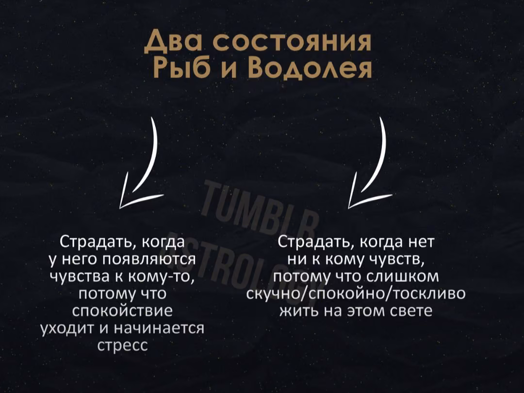 f8e1ae65990b9ab67f4a08390ab5a71e.avif