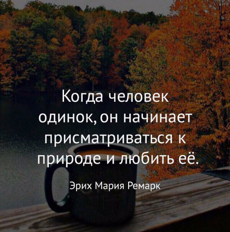 f8e754bdf7cc247d460d7769bf5f767f.jpg