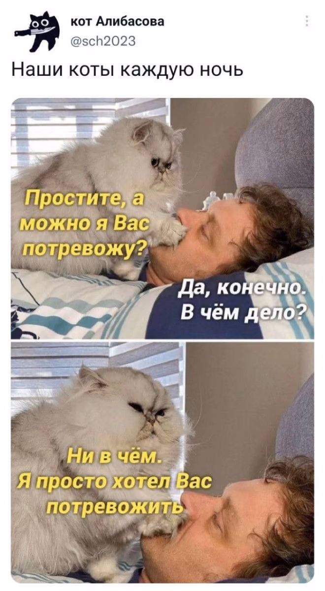 f8e7a9ccf36a3305e184f9a275ffc130.avif
