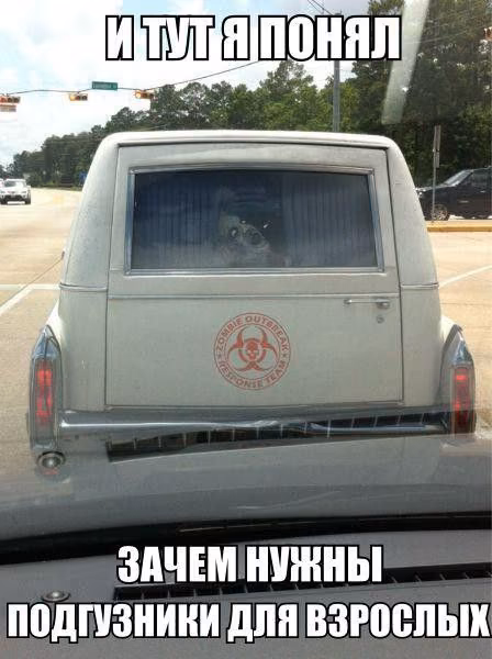 f8eba7c2ca7b6a7ecb281fb27d5038e1.jpg