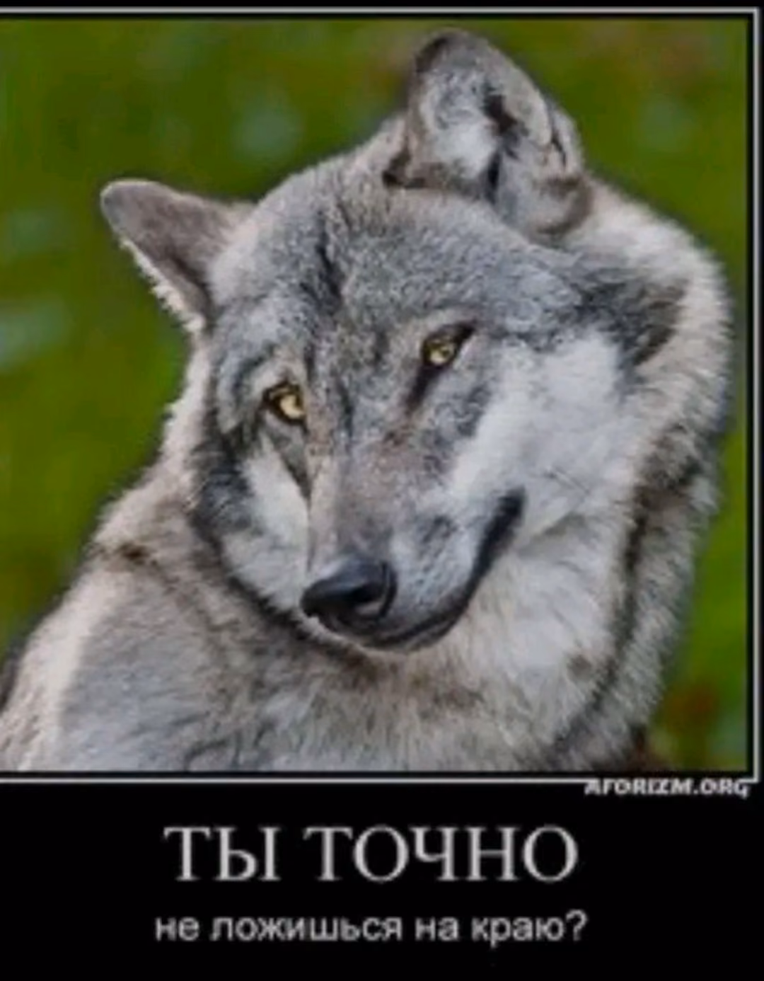 f8ee005bdf9b6223fb7673addf333b98.avif