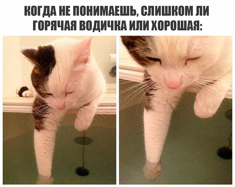 f91bef731c772b85f2f2b417cd052e30.jpg