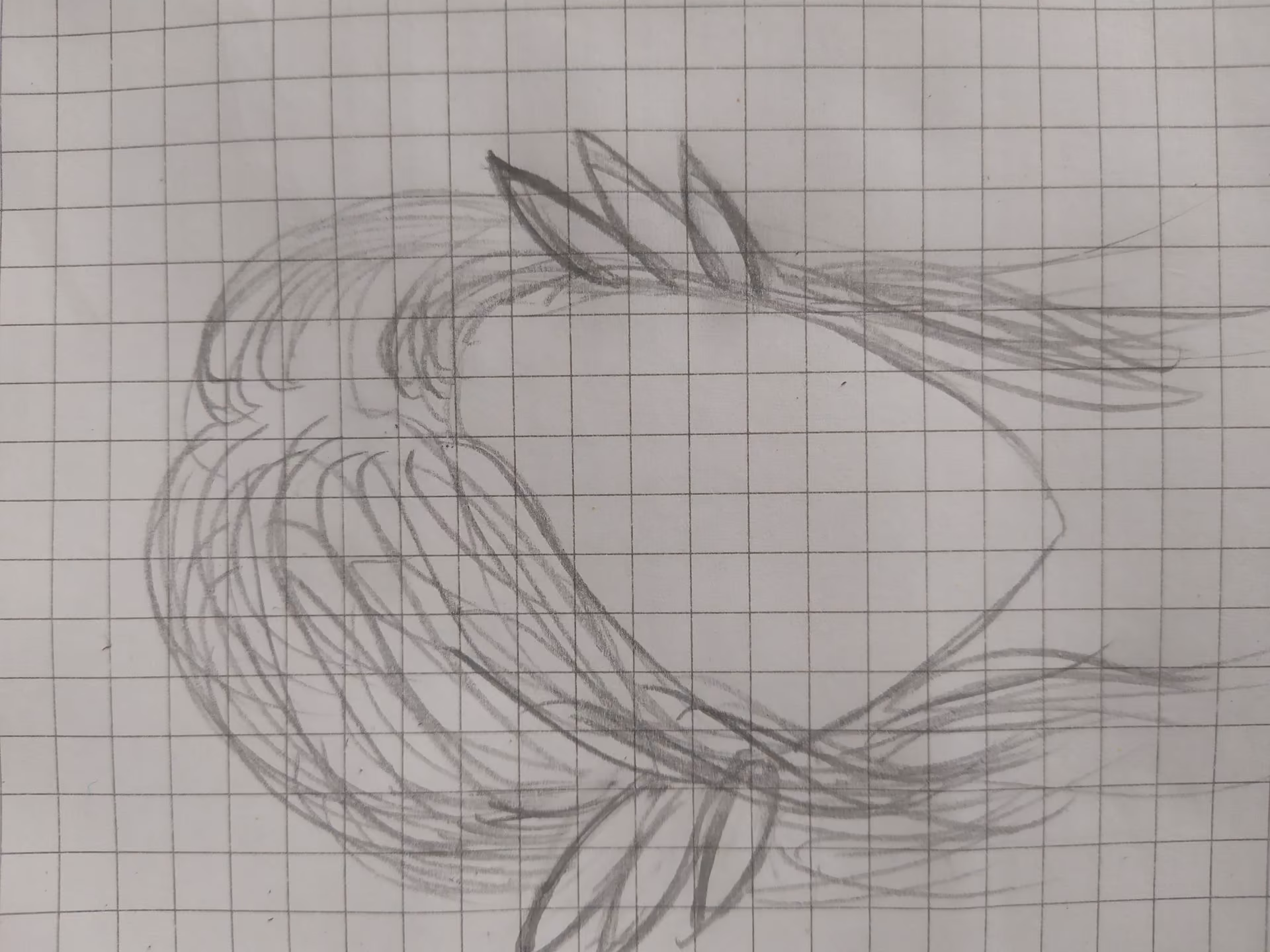 f9467dac4236c6b1e6e206f3a2cf127b.avif
