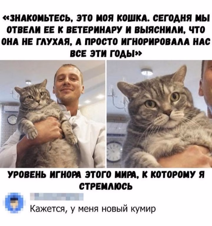 f953be0106905249879e813308707c1a.avif