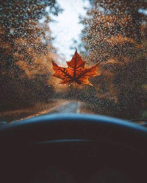 f956f367325627119c7f803cb17fb65c.jpg
