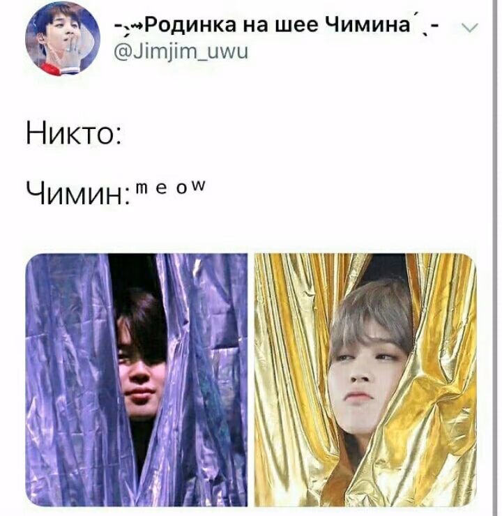 f95f0c888c93197a5ba3fb7912229951.avif