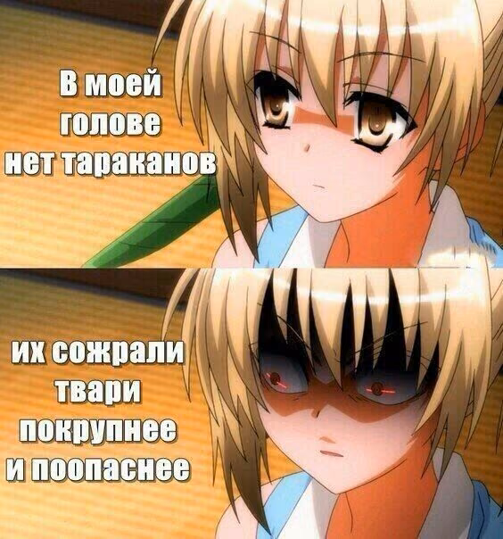 f979d29028b42c4627082271d5c5bf8e.avif