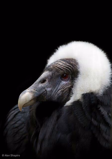 f98940b7093ce966c28820239d421354.avif
