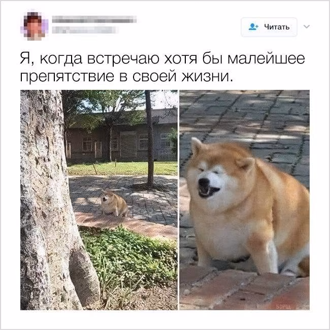 f9954653665da3d208dd60cecf694e41.avif