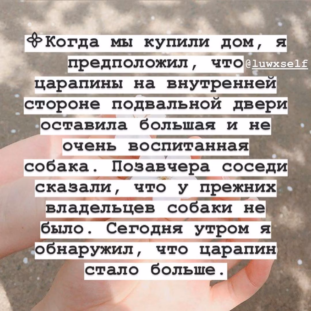 f9a23a3493e810ecd81c112f5ee8ebb8.jpg
