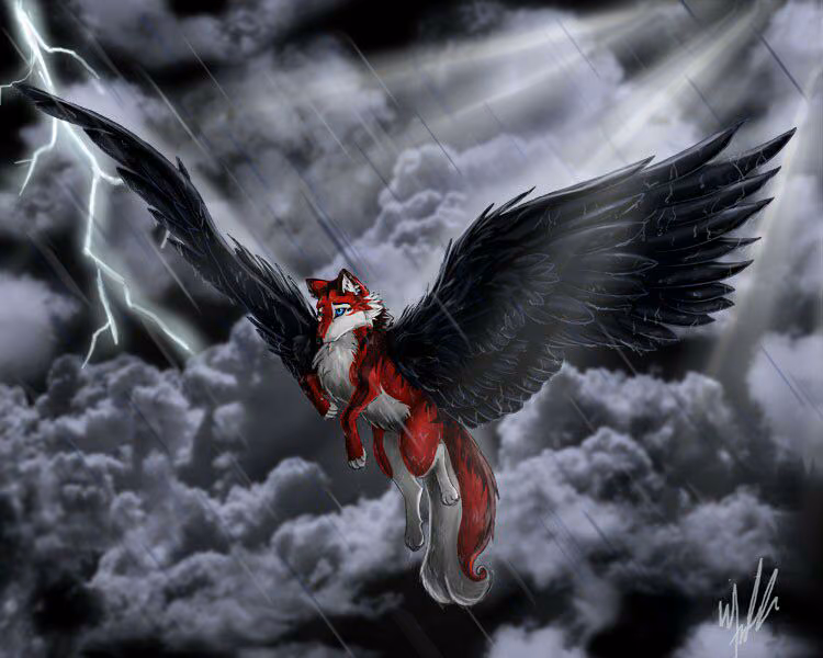 f9a5e9aa0ae69076b6e6a8289e582cbe.avif
