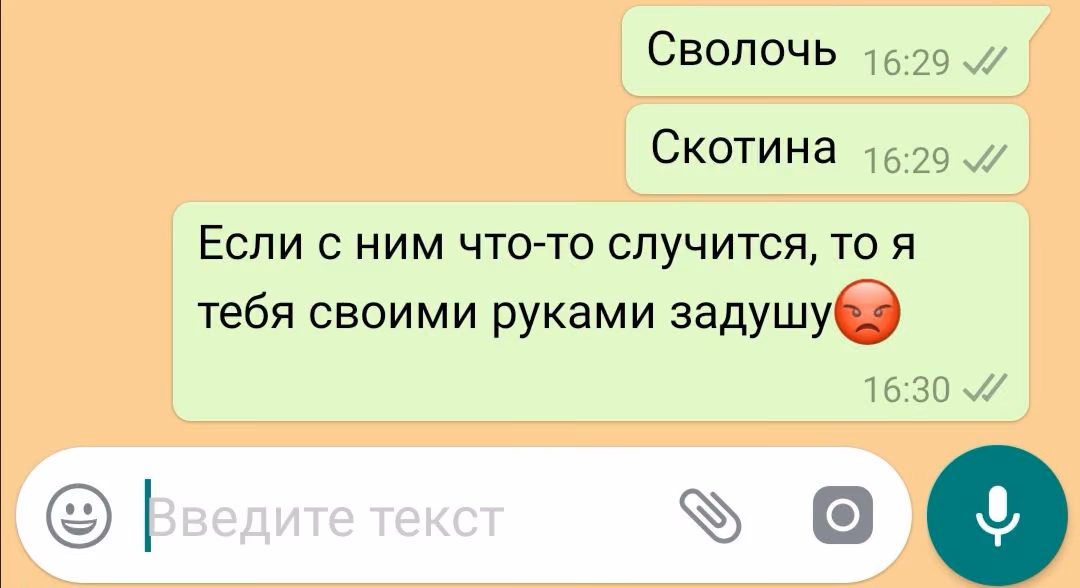 f9b8cd305669ae604cc838d64e088748.avif