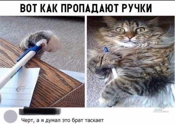 f9b8d941d7a62bec92aa5225449c5c7f.avif