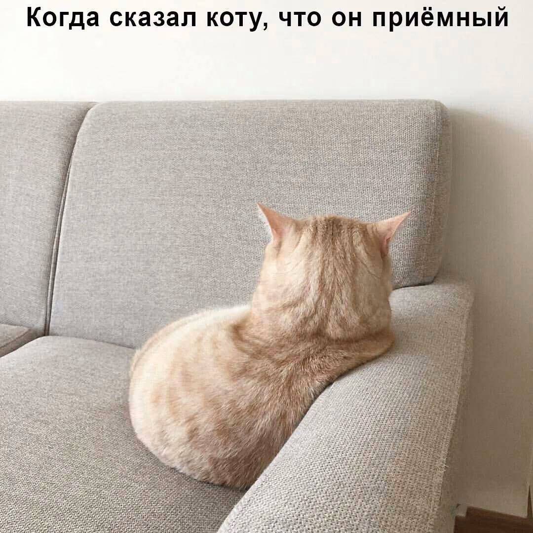f9c0aa6a0d4aa2c9490ec694433788a1.jpg