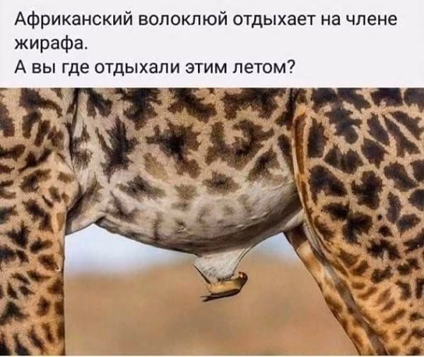 f9dee5d07b916695baa53dbdd90773c7.avif
