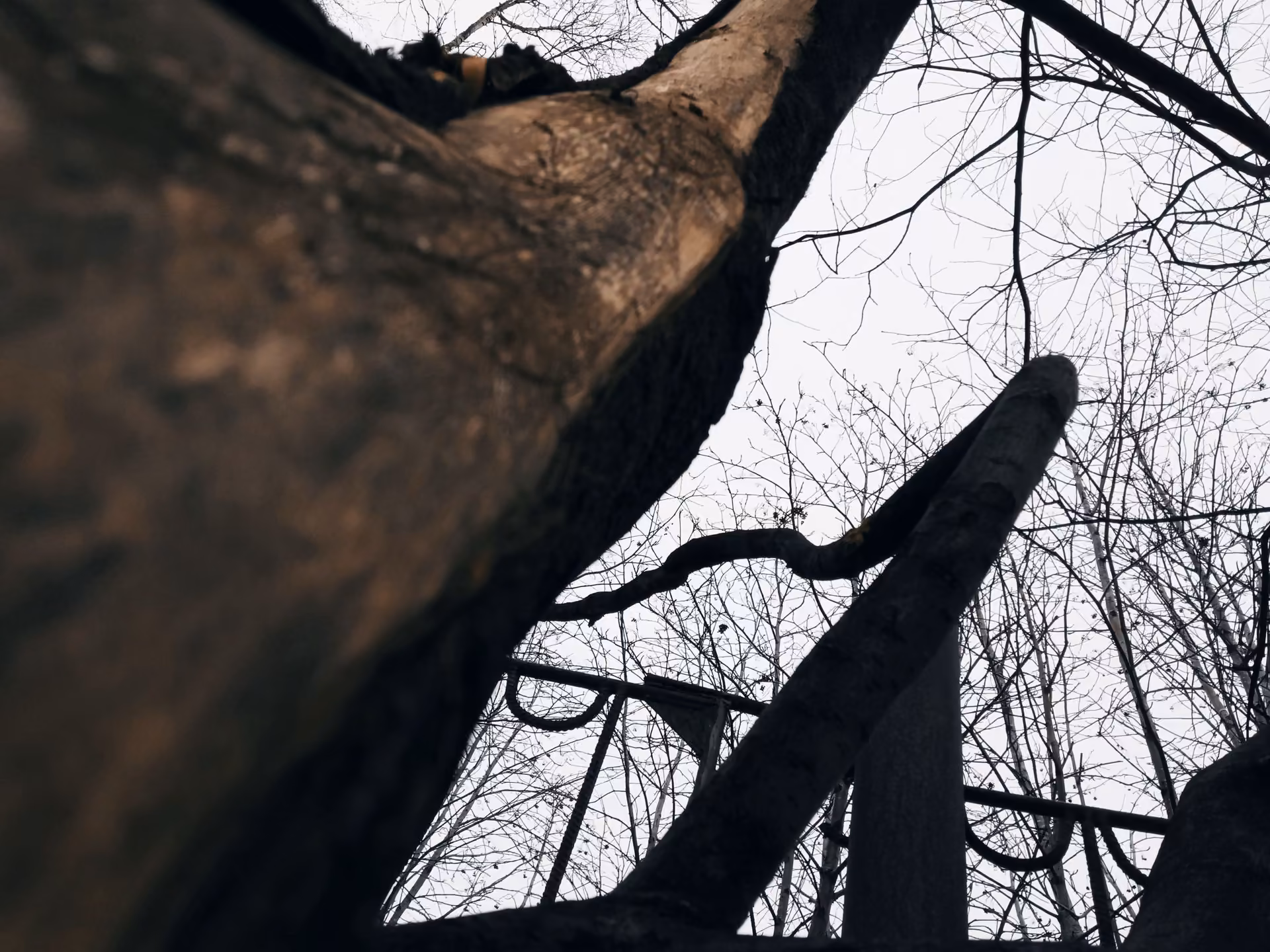 f9e5583db4ae46e27700700b3d57a31b.jpg