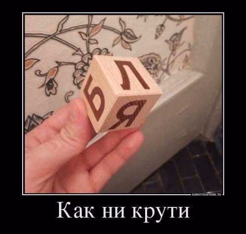 f9f76068112ca6566544935e7efa55c8.avif