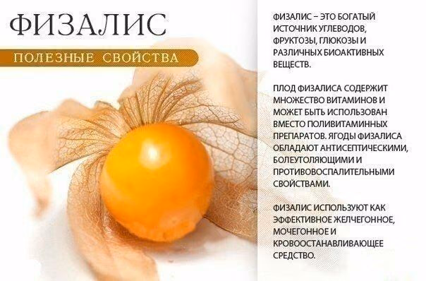 f9fb01288d4cbdb782768f47476e0332.avif
