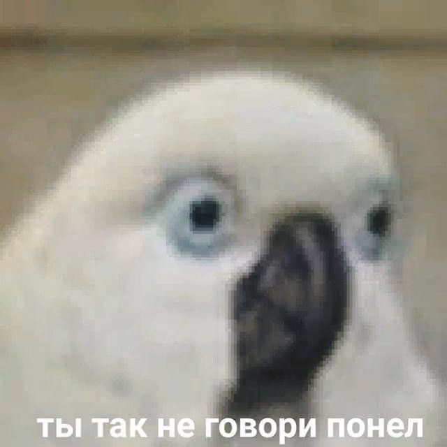 f9fd81f8dcf8d15a70f007988f81615f.jpg