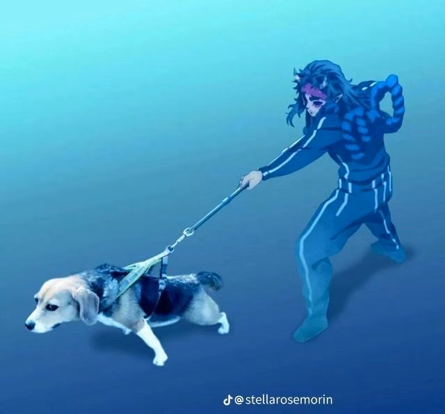 fa033d7466f56d3763d5577fb2d371dc.jpg