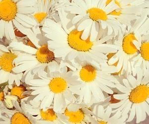 fa05831ef840b311f86d01a56d88be19.jpg