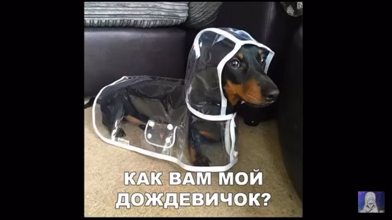fa4852da6d362cf4f8077bba9fe2238d.jpg