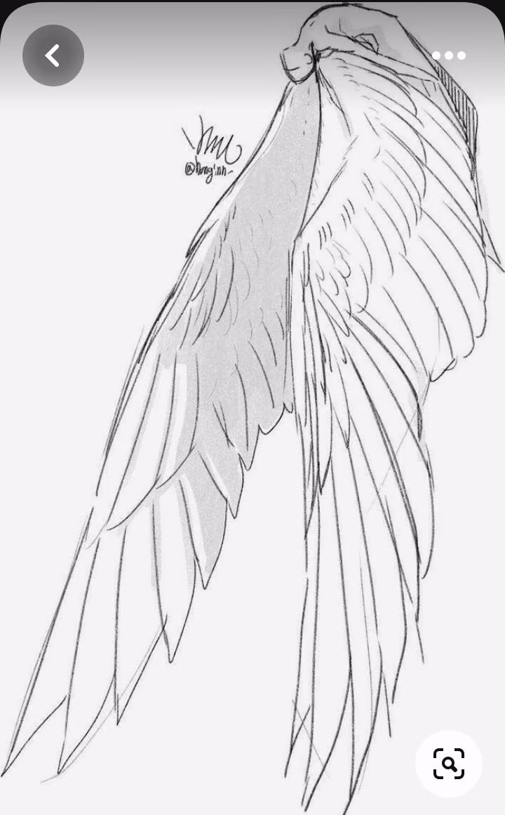 fa548a77fa0edbc6780c5851b7b89e20.avif