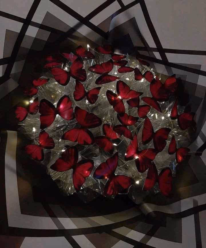 fa59d80b4f88b3058784260e5e238f56.avif