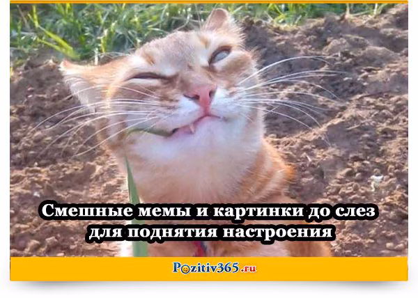fa66a24dc4e790677df63e0f7ad0dfcf.avif