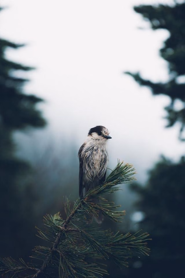 fa6e87cea53bb8b6f9691b862063ffb6.jpg