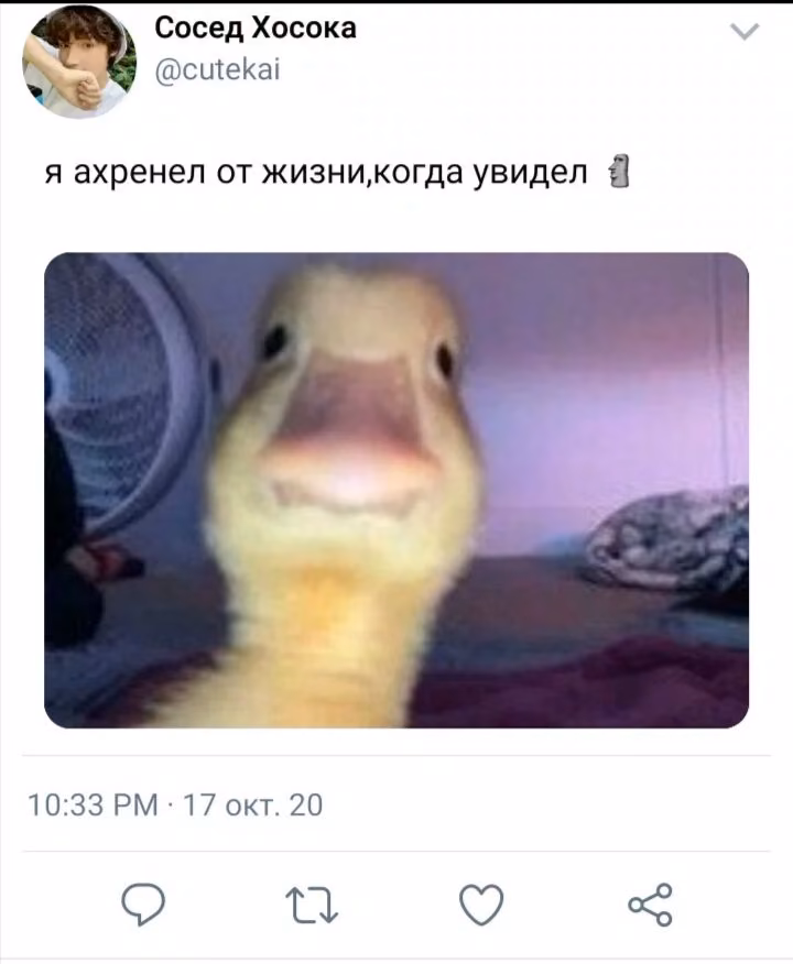 fa7156dcdcd713d3acf91f1aa07c280b.avif