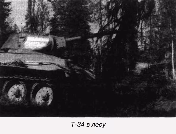 fa878e340a39cff82b93a8e1b62c8169.avif