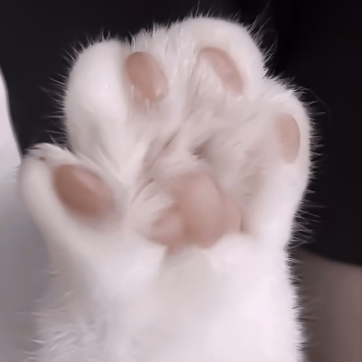 fa8d8b765ea77a813bc0920bd174e859.jpg